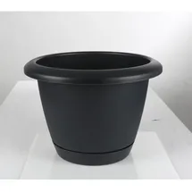 Prosperplast Respana Basic 39 x 27 cm Schwarz