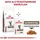Royal Canin Gastrointestinal GI 32 2 kg