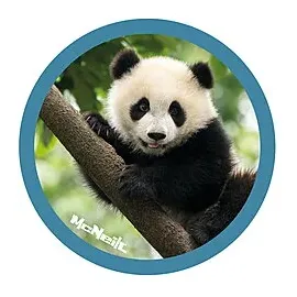 McNeill McAddys Dschungel Panda