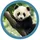 McNeill McAddys Dschungel Panda