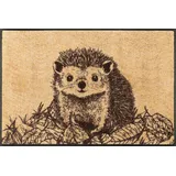 Wash+Dry Hedgy 50 x 75 cm Beige