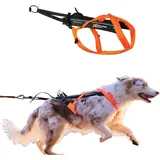 Non-Stop Dogwear Freemotion Harness 5.0 | Hunde-Geschirr für alle Sportarten, Größe:Größe 4