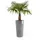 Ecopots Amsterdam Ø 41 x 76 cm Grau