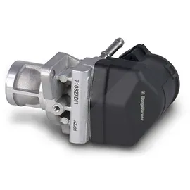 BorgWarner WAHLER AGR-Ventil 710327D/1