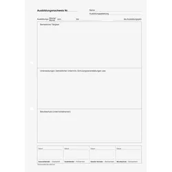 BRUNNEN Formularbuch Ausbildungsnachweis, wöchentliche/monatliche Eintragungen DIN A4 1x 28 Seiten