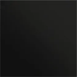 Gira 5554925 Frontpl. Info-/Blindmodul System 106 Schwarz m