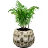 Van der Leeden Tina Ø 45 cm Grau