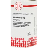 DHU-ARZNEIMITTEL APIS MELLIFICA D 6