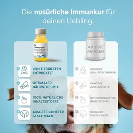 dr. sam Colostrum Kur zur Stärkung des Immunsystems 125 ml