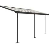 CANOPIA Sierra 230 x 447 cm grau