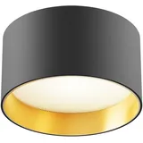 maytoni leuchten Vega 1 schwarz/gold Aluminium