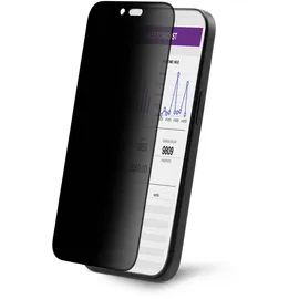 Startech StarTech.com 4-Wege 360 Blickschutzfilter für iPhone 16 Pro Max Portrait/Querformat, Touch-fähig, Panzerglas Sichtschutz