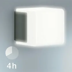 Steinel Außen-Sensorlampe L 835 LED IHF Anthrazit 055516