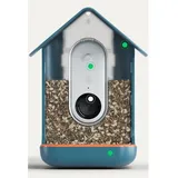 Bird Buddy Smart Vogelfutterhaus mit Solarpanel | ✔️ € gratis geschenkbox