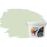 RyFo Colors Fassadenfarbe Silikonharz Fassadenfarbe Hellminze 3l, 1 L ca. 6 m2, Wasserabweisend, diffusionsfähig, schützt vor Schmutz, Algen, Pilzen grün