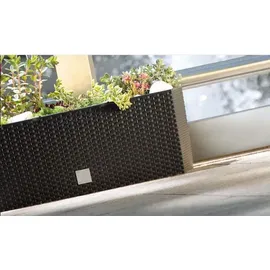 Prosperplast Blumenkasten Rato 60 x 24,5 x 24 cm anthrazit