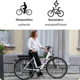 Zündapp Z502 28 Zoll RH 50 cm Damen grau/grün