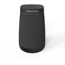Grundig Portable 360 (GLR7769)