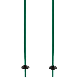 Völkl Volkl Unisex, Teenager Junior Stöcke - Green - 90 cm