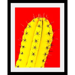 queence Bild »Kaktus«, Kunst-Pflanzen-Foto-Pflanzenbilder, HD Premium Poster-Druck inkl. Holzrahmen queence Farbe Rahmen: schwarz + Farbe Bild(er): bunt