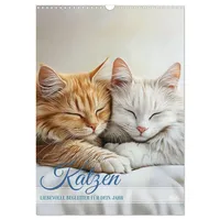 Calvendo Katzen (Wandkalender 2026 DIN A3 hoch), CALVENDO Monatskalender
