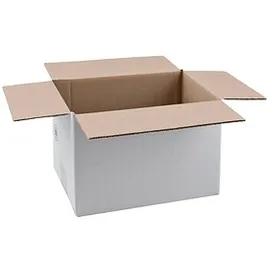 NESTLER 20 Nestler Wellpapp-Faltkartons 1-wellig 27,0 x 18,0 x cm Außenmaß