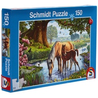 Schmidt Spiele Feentanz (56130)