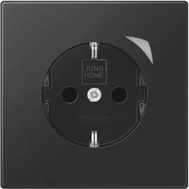 Jung Schuko-Steckdose Graphitschwarz 1 St.