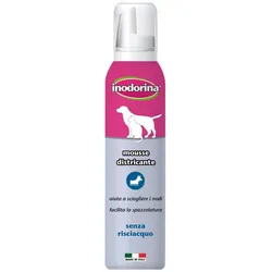 Styling Schaum Inodorina 200 ml