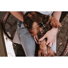 Hunter Geschirr Round & Soft Canadian Up XS-S schwarz