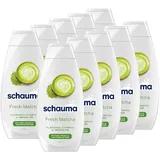 Schauma Schwarzkopf Klärendes Shampoo Fresh Matcha (10x 400 ml), Haarshampoo befreit das Haar von Rückständen, Shampoo für fettigen Ansatz & trockene Spitzen mit Matcha-Tee-Extrakt