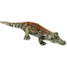 Coppenrath Verlag Nature Zoom Wild Krokodil 30 cm Bunt