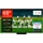 TCL 65Q7C 65 Zoll QLED MiniLED 4K Google TV