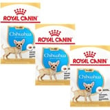 Royal Canin Chihuahua Junior