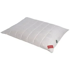 Hefel Bio-Wool Kissen 40 x 60 cm Beige