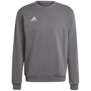 Adidas Entrada 22 Sweatshirt Team Grey Four 2XL