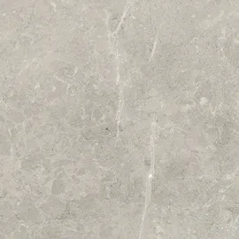 Euro Stone Terrassenplatte Feinsteinzeug grau 60 x 60 x 2 cm