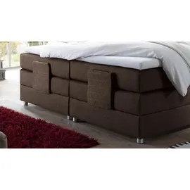 Prinz MANOLO 2 - braun