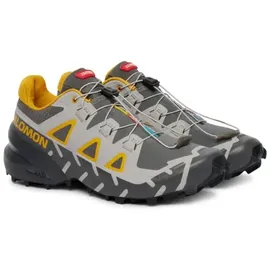 Salomon Speedcross 6 Herren Castlerock/Asphalt/Arrowwood 44