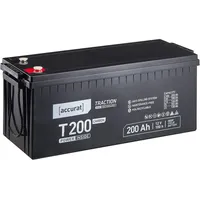 Accurat Traction T200 Carbon AGM Bleiakku 200Ah