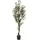 HJH Office Kunstpflanze OLIVE I 172 cm,
