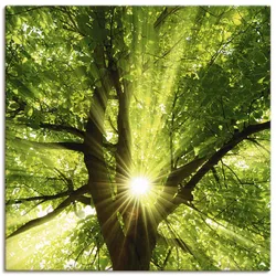 Artland Wandbild »Sonne strahlt explosiv durch den Baum«, Bäume, (1 St.), als Leinwandbild, Poster, Wandaufkleber in verschied. Größen Artland Farbe Bild(er): grün
