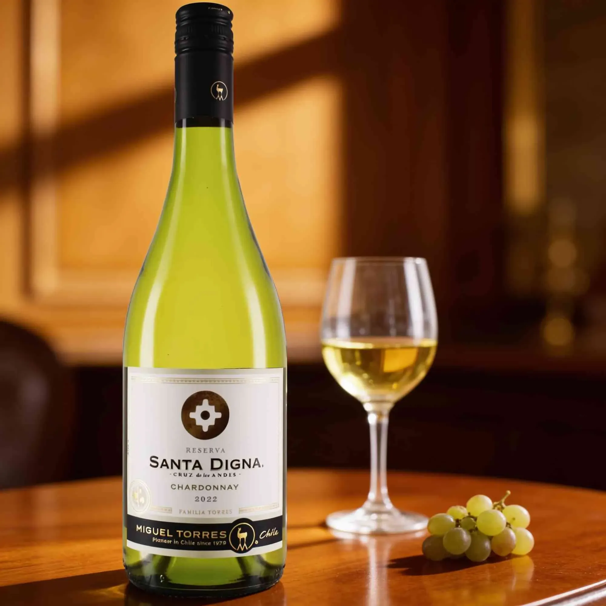 Torres 2022 Torres Santag Digna Chardonnay Reserve 2022 Chardonnay Chile