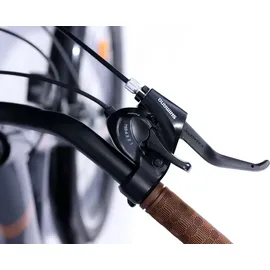 Toys Store City Bike 28 Zoll RH 51 cm grün