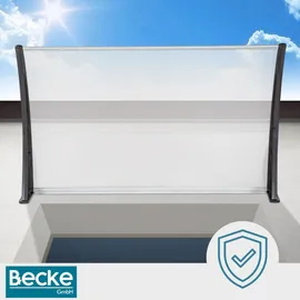 OEM Vordach 150 x 100 cm transparent