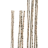 iWerk Birkenstamm 90 cm – ø 2-4 cm Birkenholz Birke Deko Holz