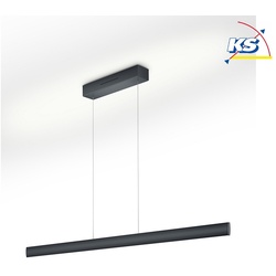 Knapstein LED Pendelleuchte RUNA-132, Up/Down, 132cm, 62W 2200-3000K, CRi >90, Sensordimmer, schwarz GKS-51.486.07