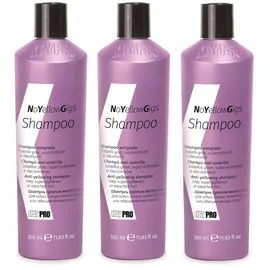 Kaypro Gigs Shampoo No Yellow gegen Gelbstich 350 ml