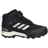 adidas Terrex Winter Mid BOA RAIN.RDY Hiking Shoes cblack/silvmt/cblack (A0QM) 5