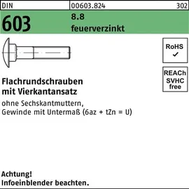 F. REYHER Nchfg. GmbH & Co. KG Flachrundschraube DIN 603 M12 x 25 100 Stück